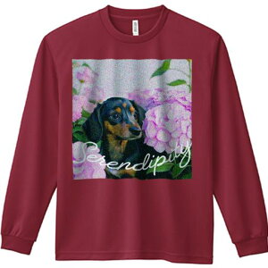 TVc lԗp Y Ht vg W[ AEghA JWA 킢 t@ AWTC _bNXtg  ΂̗t