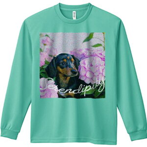 TVc lԗp Y Ht vg W[ AEghA JWA 킢 t@ AWTC _bNXtg  ΂̗t