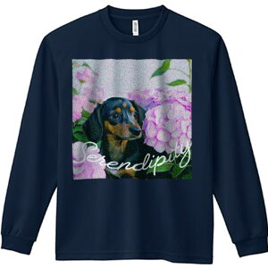 TVc lԗp Y Ht vg W[ AEghA JWA 킢 t@ AWTC _bNXtg  ΂̗t