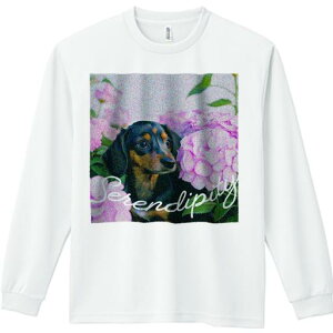 TVc lԗp Y Ht vg W[ AEghA JWA 킢 t@ AWTC _bNXtg  ΂̗t