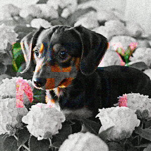 AWTC _bNXtg  R NbVJo[ 45×45cm Aj}   NbV{̕t ` t@