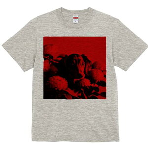 TVc Y LbY t@  t  vg JWA 킢 lԗp tBbglX _X  _bNXth