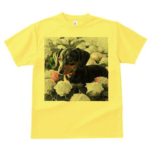 TVc Y LbY t@  t  vg JWA 킢 lԗp tBbglX _X AWTC _bNXtg  R