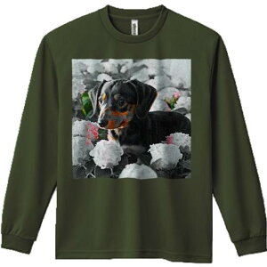 TVc lԗp Y Ht vg W[ AEghA JWA 킢 t@ AWTC _bNXtg  R