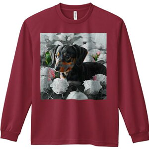 TVc lԗp Y Ht vg W[ AEghA JWA 킢 t@ AWTC _bNXtg  R