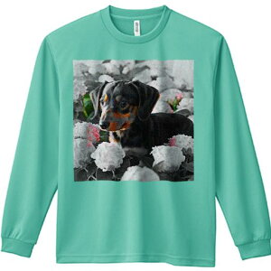 TVc lԗp Y Ht vg W[ AEghA JWA 킢 t@ AWTC _bNXtg  R