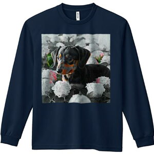 TVc lԗp Y Ht vg W[ AEghA JWA 킢 t@ AWTC _bNXtg  R