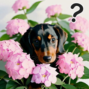 AWTC _bNXth sN̉ }[N NbVJo[ 45×45cm Aj}   NbV{̕t ` t@