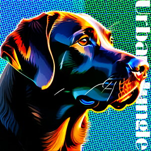 A[g uh[go[ |bvA[g Jt s ۓI NbVJo[ 45×45cm Aj}   NbV{̕t ` t@