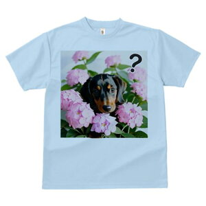 TVc Y LbY t@  t  vg JWA 킢 lԗp tBbglX _X AWTC _bNXth sN̉ }[N