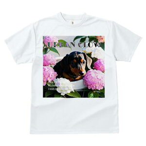 TVc Y LbY t@  t  vg JWA 킢 lԗp tBbglX _X AWTC _bNXtg  A  ΂̗t