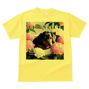 TVc Y LbY t@  t  vg JWA 킢 lԗp tBbglX _X AWTC _bNXtg  A  ΂̗t