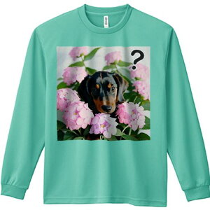 TVc lԗp Y Ht vg W[ AEghA JWA 킢 t@ AWTC _bNXth sN̉ }[N