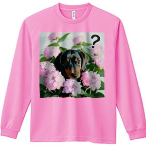 TVc lԗp Y Ht vg W[ AEghA JWA 킢 t@ AWTC _bNXth sN̉ }[N