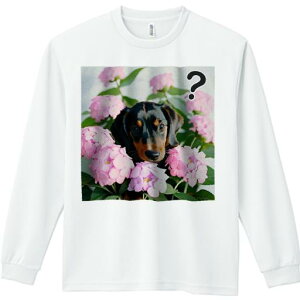 TVc lԗp Y Ht vg W[ AEghA JWA 킢 t@ AWTC _bNXth sN̉ }[N