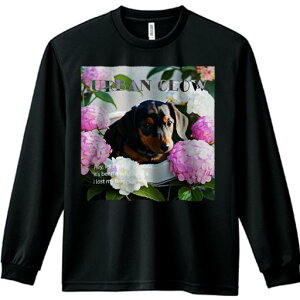 TVc lԗp Y Ht vg W[ AEghA JWA 킢 t@ AWTC _bNXtg  A  ΂̗t