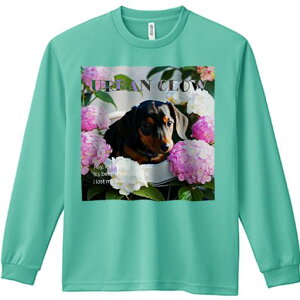 TVc lԗp Y Ht vg W[ AEghA JWA 킢 t@ AWTC _bNXtg  A  ΂̗t