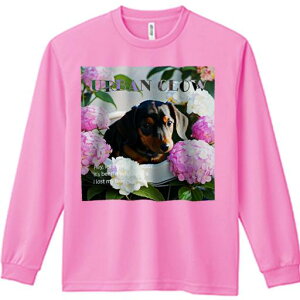 TVc lԗp Y Ht vg W[ AEghA JWA 킢 t@ AWTC _bNXtg  A  ΂̗t