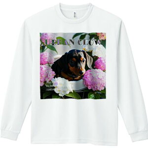 TVc lԗp Y Ht vg W[ AEghA JWA 킢 t@ AWTC _bNXtg  A  ΂̗t