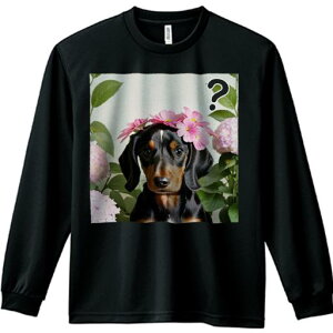 TVc lԗp Y Ht vg W[ AEghA JWA 킢 t@  _bNXth t RXX AWTC ^╄