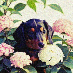 AWTC _bNXtg  ΂̗t  NbVJo[ 45×45cm Aj}  NbV{̕t ` t@