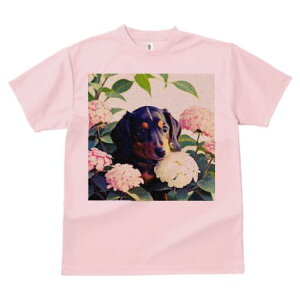 TVc Y LbY t@  t  vg JWA 킢 lԗp tBbglX _X AWTC _bNXtg  ΂̗t 