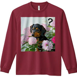 TVc lԗp Y Ht vg W[ AEghA JWA 킢 t@  _bNXth ԑ sN