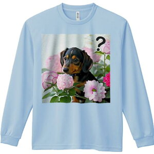 TVc lԗp Y Ht vg W[ AEghA JWA 킢 t@  _bNXth ԑ sN