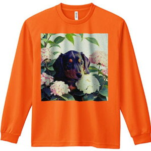 TVc lԗp Y Ht vg W[ AEghA JWA 킢 t@ AWTC _bNXtg  ΂̗t 