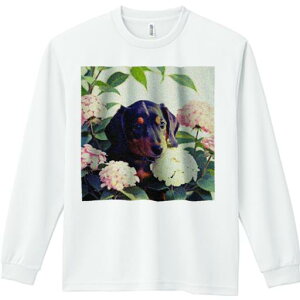 TVc lԗp Y Ht vg W[ AEghA JWA 킢 t@ AWTC _bNXtg  ΂̗t 