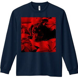 TVc lԗp Y Ht vg W[ AEghA JWA 킢 t@ Ԃ _bNXth q n[gEH[~O t[AWg