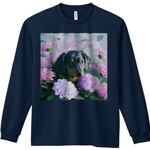 TVc lԗp Y Ht vg W[ AEghA JWA 킢 t@ Ԃ _bNXth q n[gEH[~O t[AWg