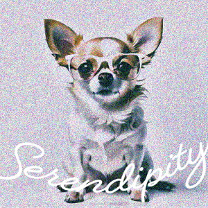 Kl ` NbVJo[ 45×45cm Aj}   NbV{̕t ` t@