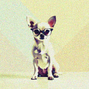 Kl ` 킢 t@bV  j[N NbVJo[ 45×45cm Aj}  NbV{̕t ` t@