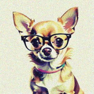 Kl ` NbVJo[ 45×45cm Aj}   NbV{̕t ` t@