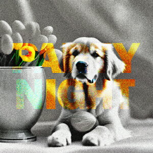  S[fgo[ A {[ NbVJo[ 45×45cm Aj}   NbV{̕t ` t@