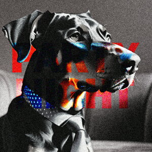 lN^C h[x} p[eB[ \t@ NbVJo[ 45×45cm Aj}   NbV{̕t ` t@