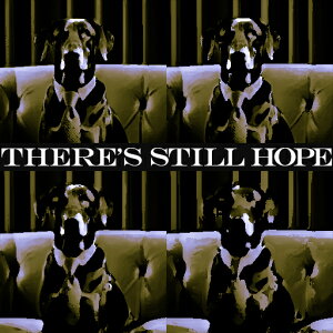 ] ̑ \t@[  _A[g t@bV NbVJo[ 45×45cm Aj}   NbV{̕t ` t@