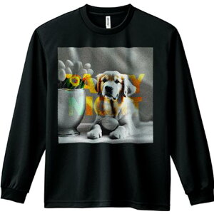 TVc lԗp Y Ht vg W[ AEghA JWA 킢 t@  S[fgo[ A {[