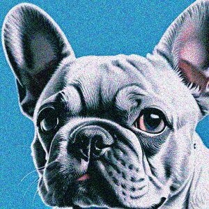 青い背景 フレンチブルドッグ かわいい犬 ポップアートスタイル クッションカバー 45×45cm アニマル柄 おしゃれ 可愛い クッション本体付き 正方形 犬ファン