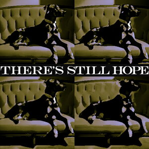  ] \t@ N[  NbVJo[ 45×45cm Aj}  NbV{̕t ` t@