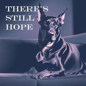 lN^C h[x} \t@ NbVJo[ 45×45cm Aj}   NbV{̕t ` t@