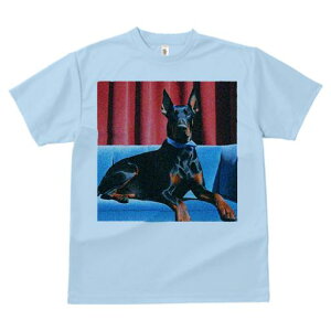 TVc Y LbY t@  t  vg JWA 킢 lԗp tBbglX _X ԂJ[e h[x} \t@ lN^C