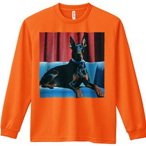 TVc lԗp Y Ht vg W[ AEghA JWA 킢 t@ ԂJ[e h[x} \t@ lN^C