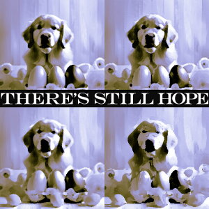 ] S[fgo[  ʂ NbVJo[ 45×45cm Aj}   NbV{̕t ` t@