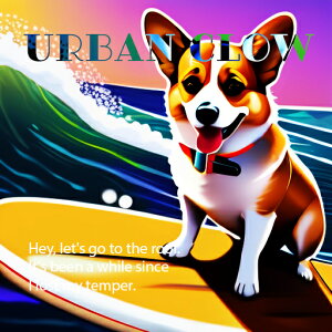 T[t{[h EFVR[M[ g C  NbVJo[ 45×45cm Aj}   NbV{̕t ` t@