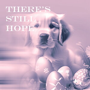 �� �S�[���f�����g���o�[ �C�[�X�^�[�G�b�O �N�b�V�����J�o�[ 45×45cm �A�j�}���� ������� ���� �N�b�V�����{�̕t�� �����` ���t�@��