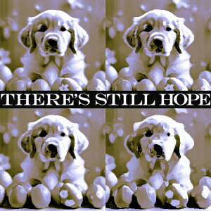 ʂ S[fgo[ ]   NbVJo[ 45×45cm Aj}   NbV{̕t ` t@