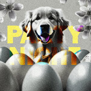 ̉ S[fgo[ p[eB[  D NbVJo[ 45×45cm Aj}   NbV{̕t ` t@