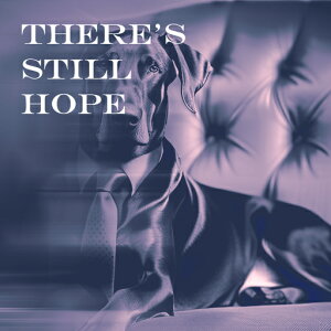 \t@ O[gf[ X[c lN^C ] NbVJo[ 45×45cm Aj}   NbV{̕t ` t@